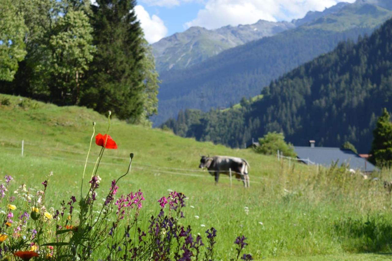 Alpenherz Apartments Sankt Gallenkirch Esterno foto